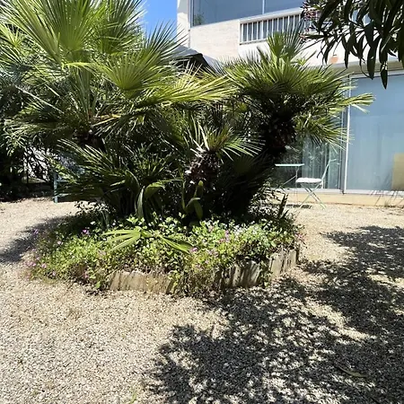 Le Saint Pierre - Maeva - Climatise Avec Loggia 2 Pieces 4 Personnes - Confort Mae-0063 Apartman Sanary-sur-Mer